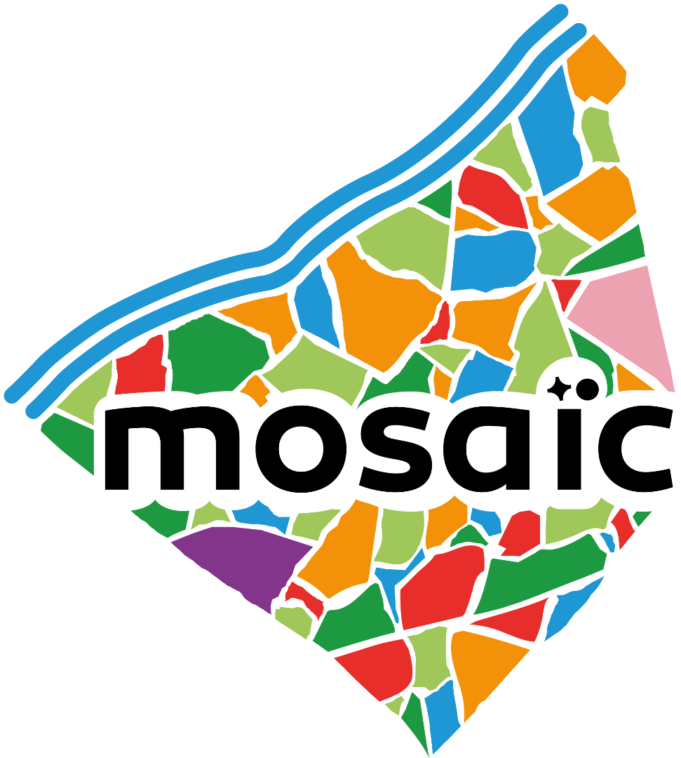 Logo de Association MOSAIC (Mixité Ouverture Solidarité Action Innovation Culture) à NANTERRE