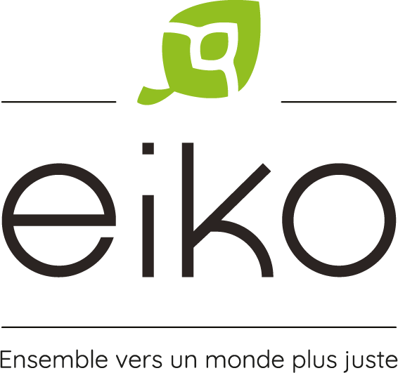 Logo de Eiko à VOISINS LE BRETONNEUX