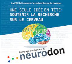 Photo de Fédération pour la Recherche sur le Cerveau à PARIS 9
