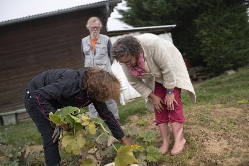 Photo de Secours catholique - Délégation GIRONDE à MERIGNAC