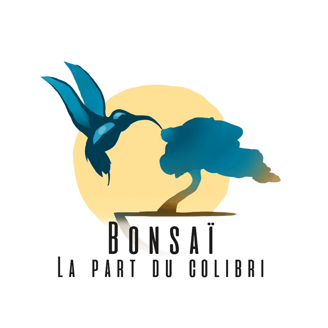 Photo de Bonsai, La part du Colibri à PROVIN
