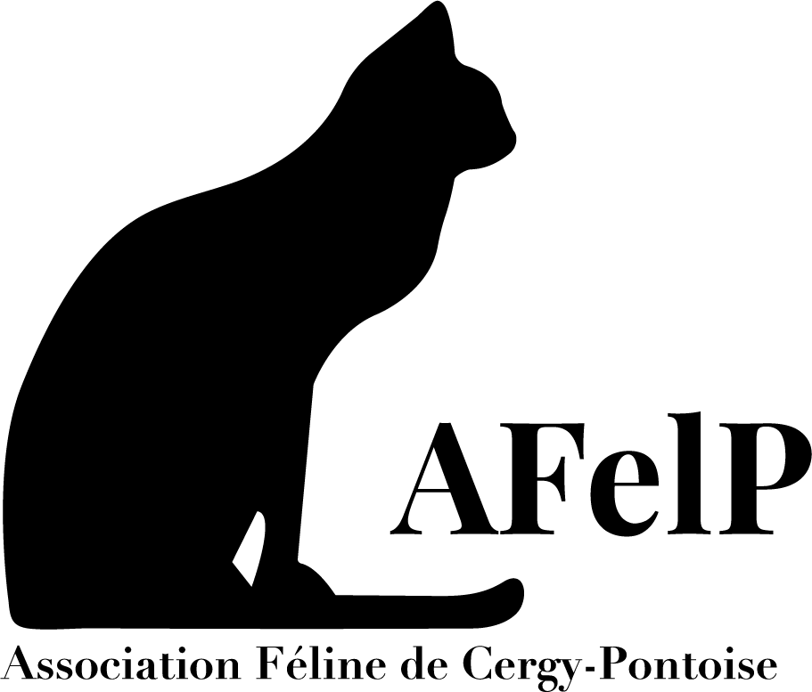 Photo de Association Féline de Cergy-Pontoise - AFELP à PONTOISE