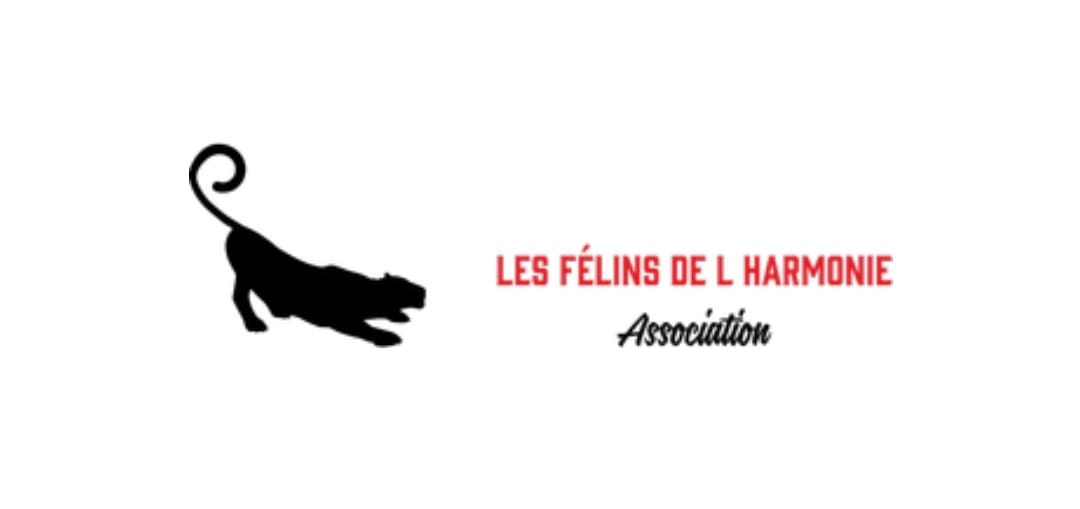 Photo de LES FÉLINS DE L'HARMONIE à PETIT BOURG