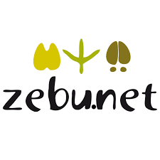 Photo de Zebunet à PARIS 75008