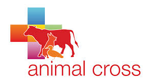 Photo de Animal Cross à PAU