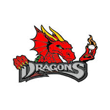 Photo de Les DRAGONS du Nord Isère à VILLEFONTAINE