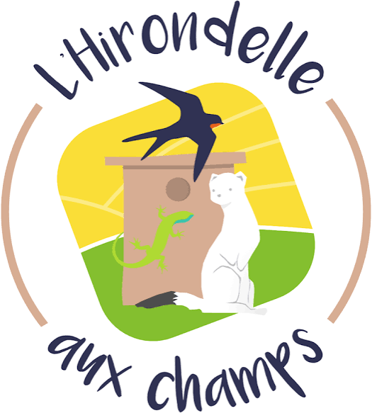 Photo de L'Hirondelle aux champs à LA BEGUDE DE MAZENC