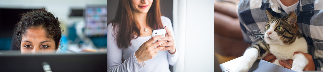 Photos d'une femme derrière son ordinateur, d'une femme avec son téléphone et d'un jeune homme devant un ordinateur avec son chat